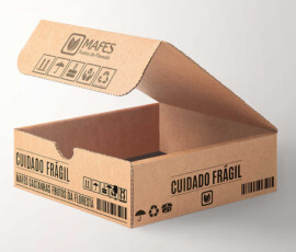 Mafes-Carton_Packing_Box